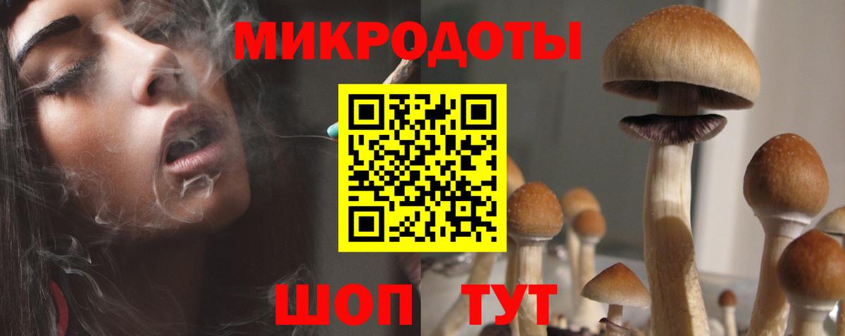 Галлюциногенные грибы Cubensis Десногорск