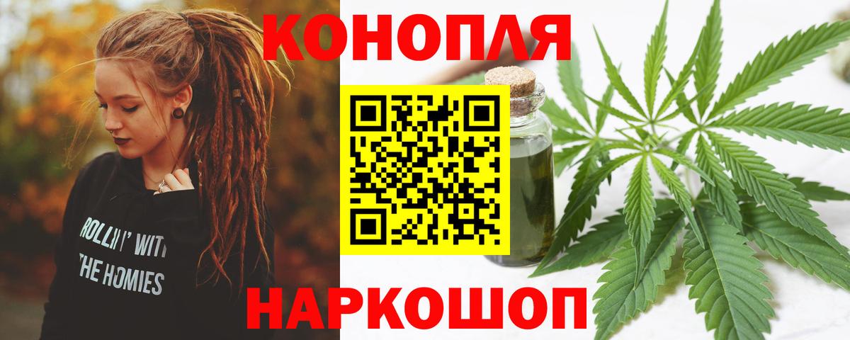 Бошки Шишки план Десногорск